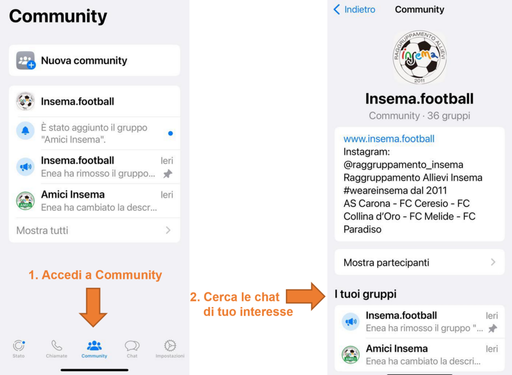 insema.football community